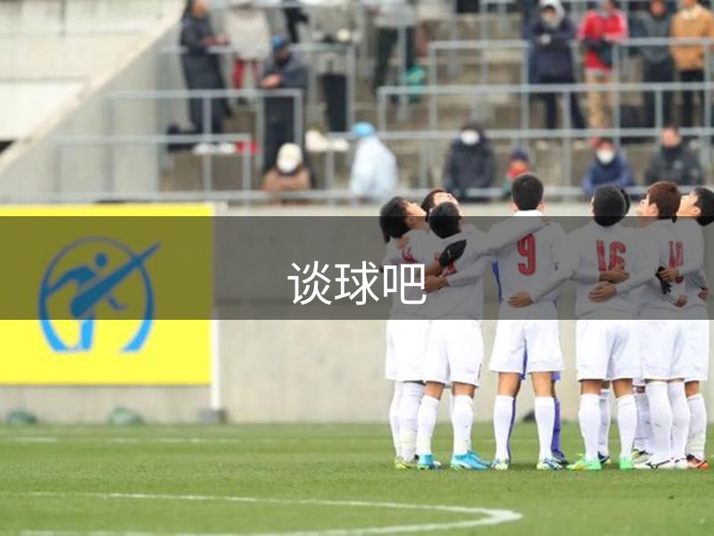 网站概况