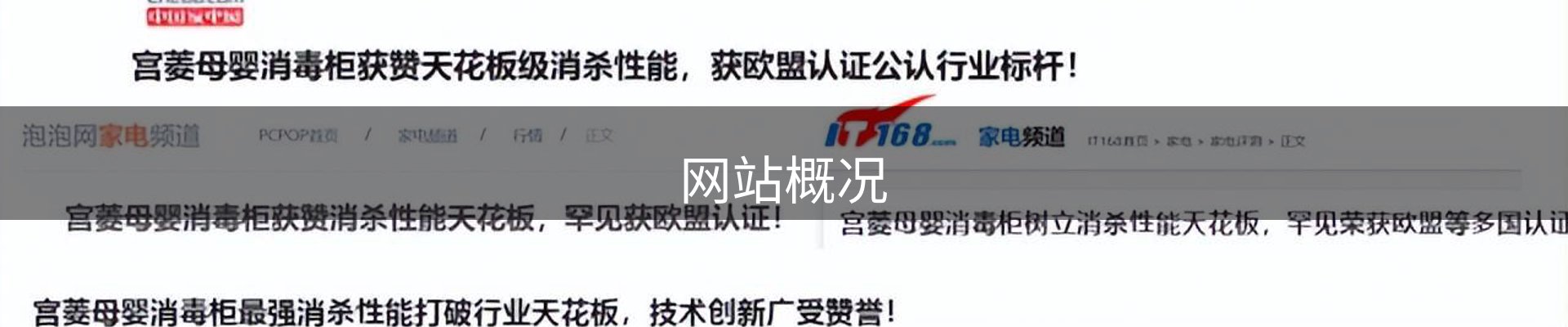 网站概况